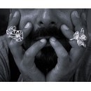 THE PHOENIX RING